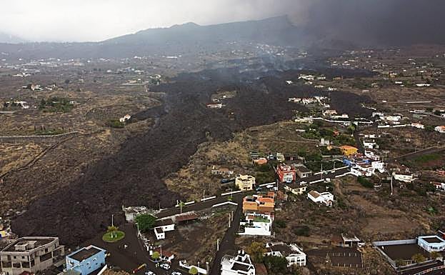 Destrucción total del suelo y de la biodiversidad por la colada