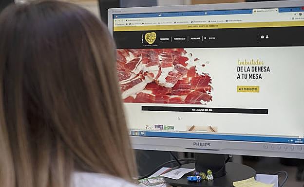Una joven consulta el mercado electrónico de la web de Tierra de Sabor. 