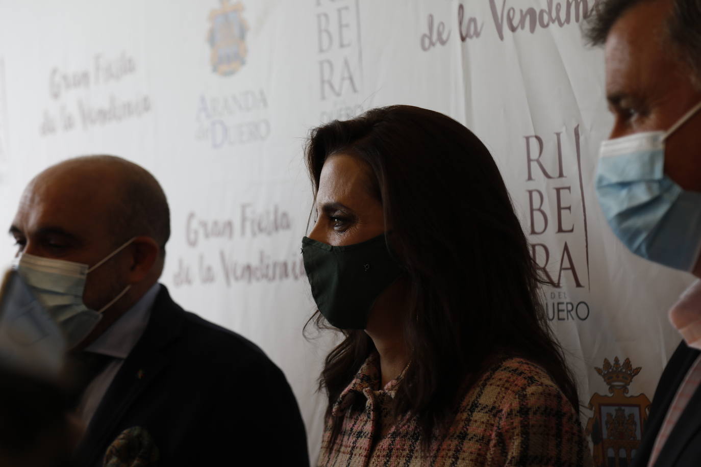 Fotos: IV Fiesta de la Vendimia de la Ribera del Duero