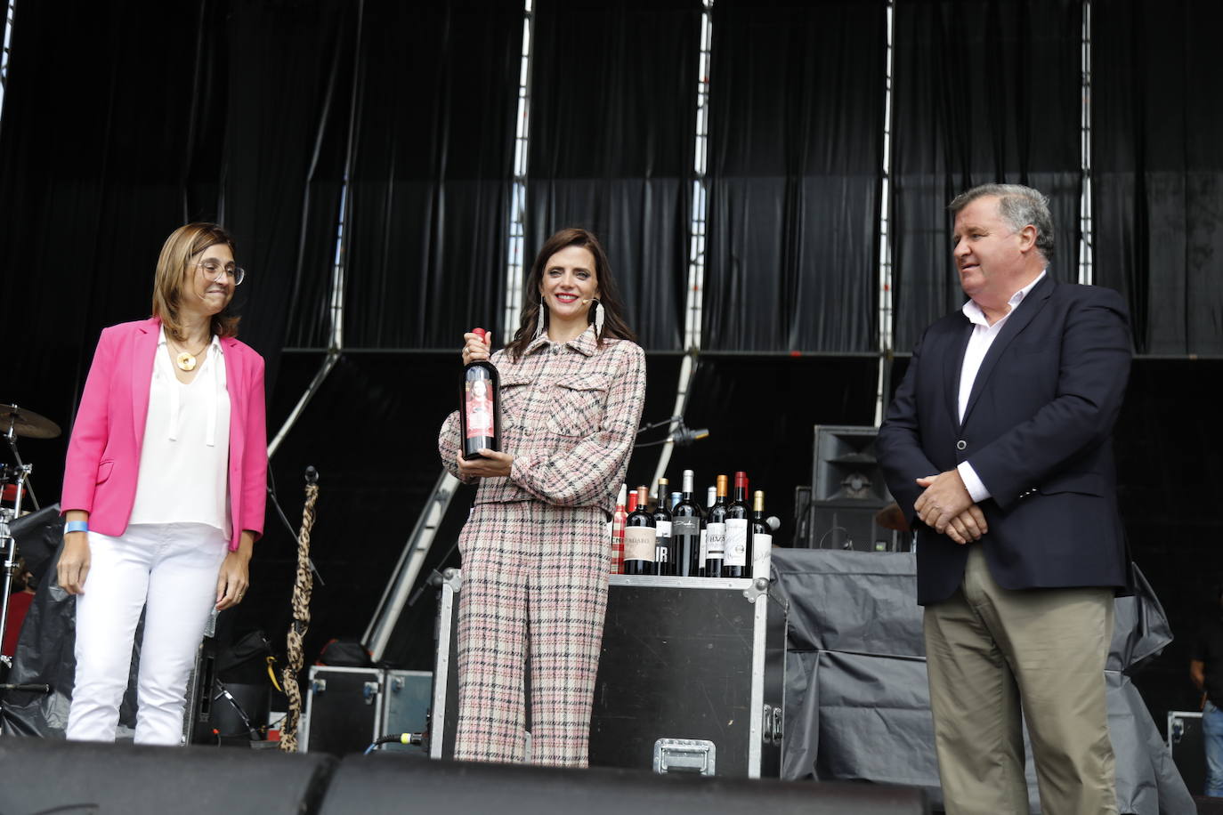 Fotos: IV Fiesta de la Vendimia de la Ribera del Duero