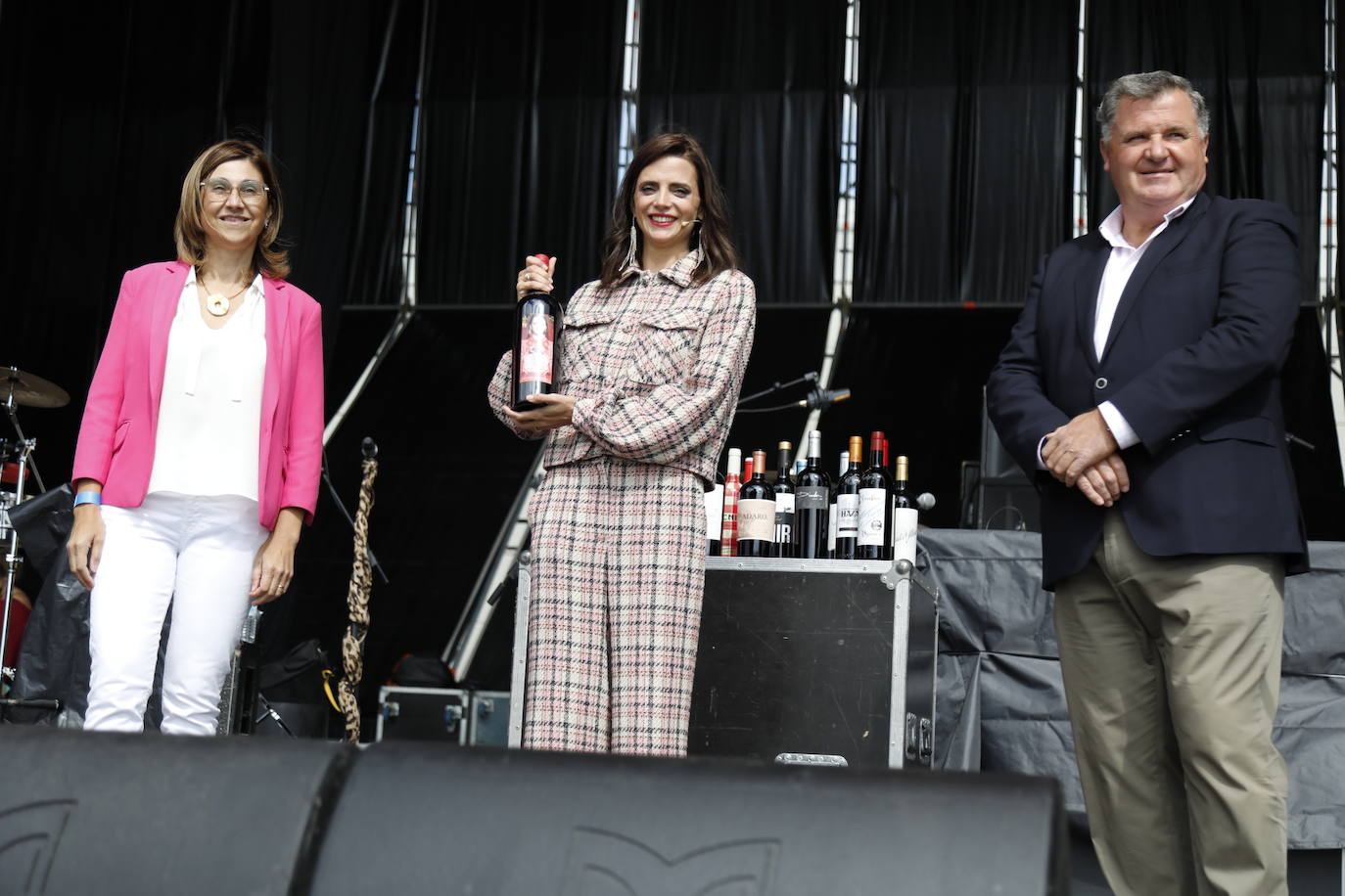 Fotos: IV Fiesta de la Vendimia de la Ribera del Duero