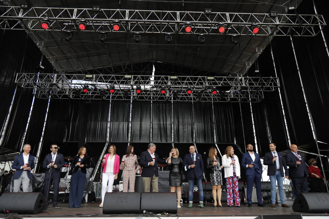Fotos: IV Fiesta de la Vendimia de la Ribera del Duero