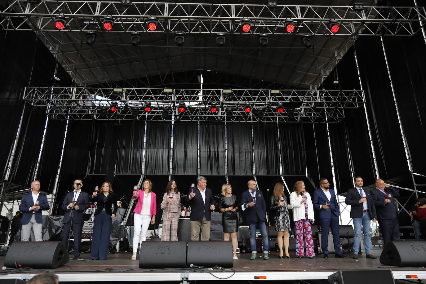Fotos: IV Fiesta de la Vendimia de la Ribera del Duero