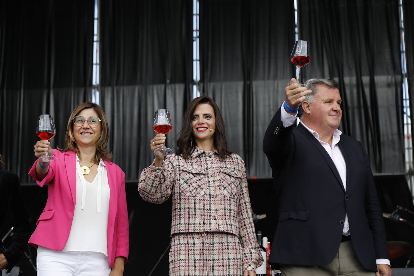 Fotos: IV Fiesta de la Vendimia de la Ribera del Duero