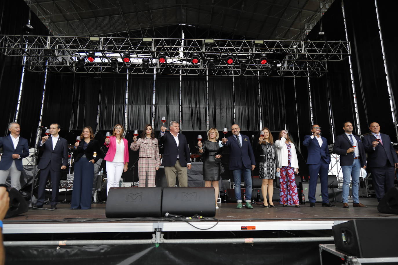 Fotos: IV Fiesta de la Vendimia de la Ribera del Duero