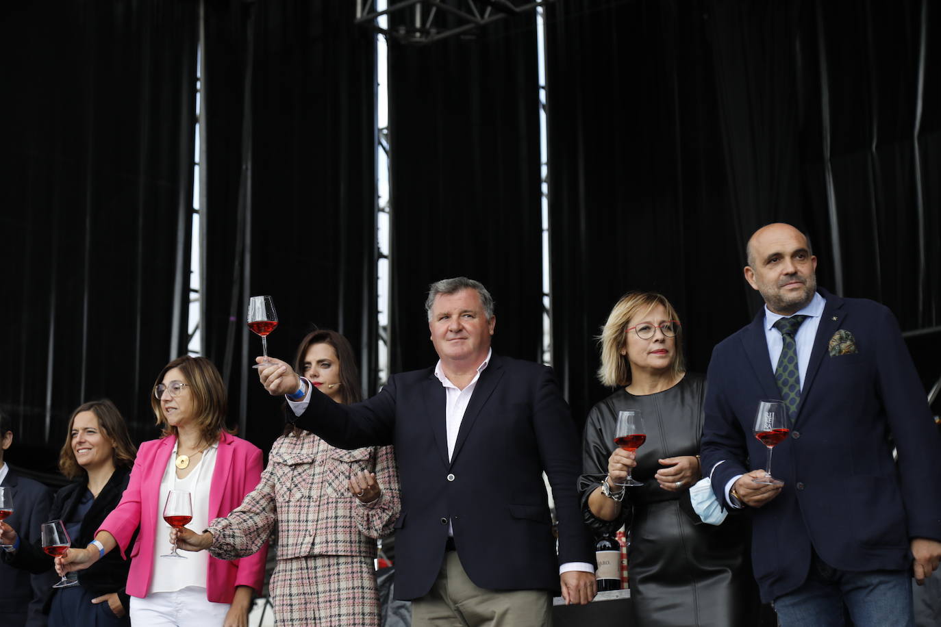 Fotos: IV Fiesta de la Vendimia de la Ribera del Duero