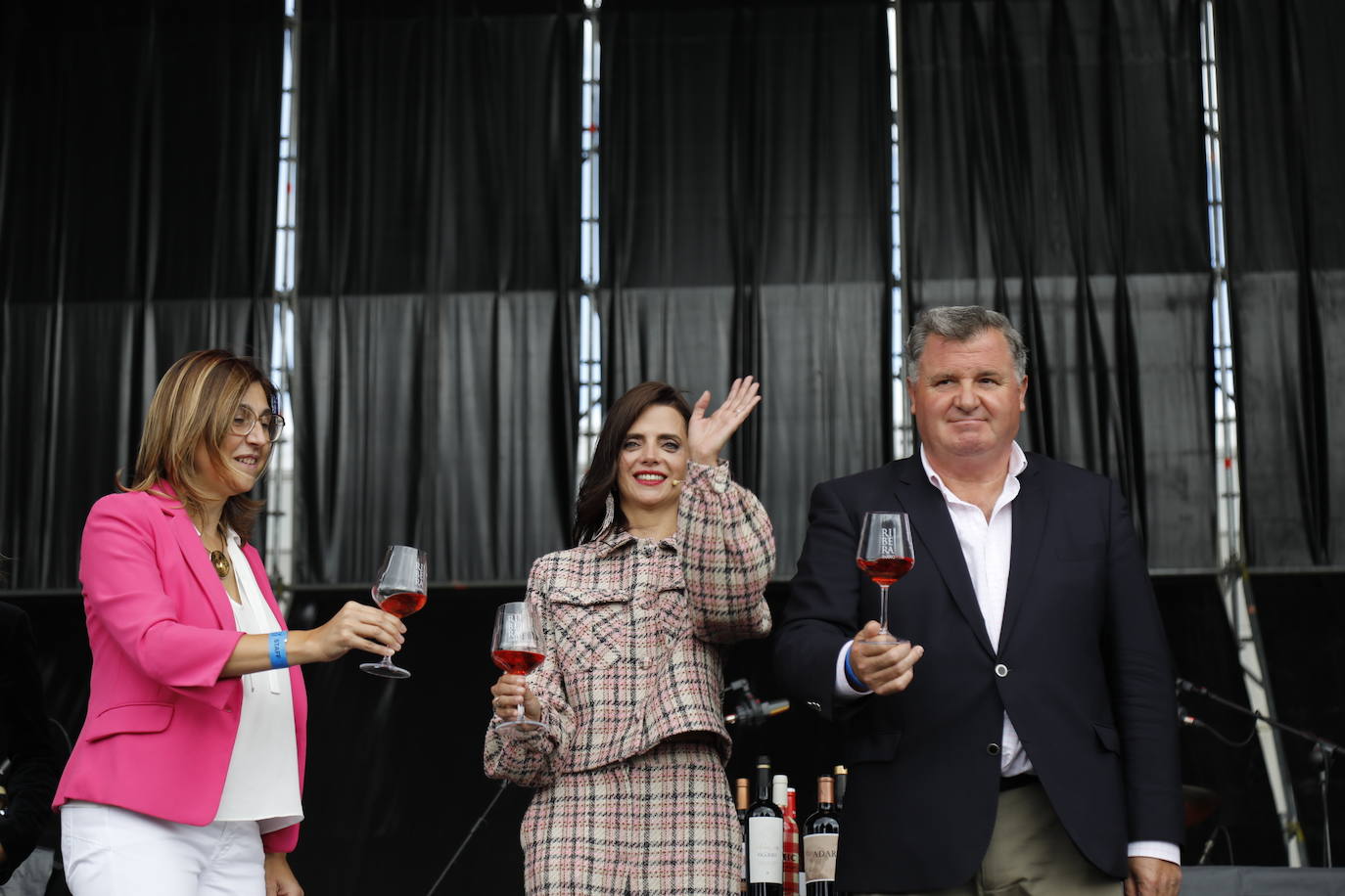 Fotos: IV Fiesta de la Vendimia de la Ribera del Duero