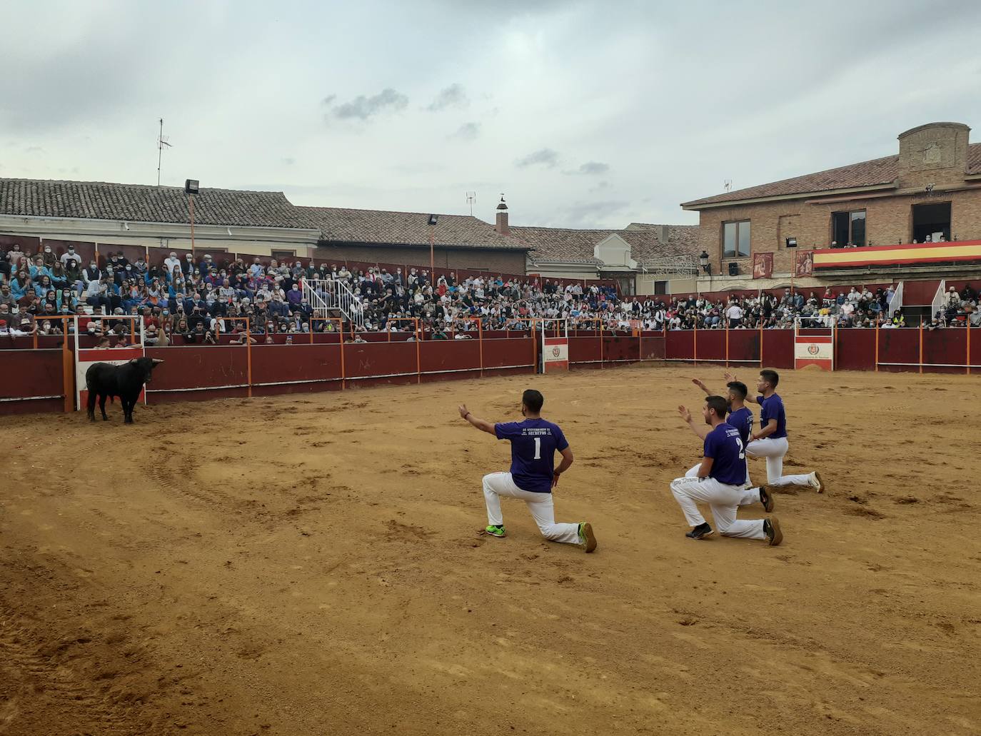 Fotos: Concurso de cortes Villa de Mayorga