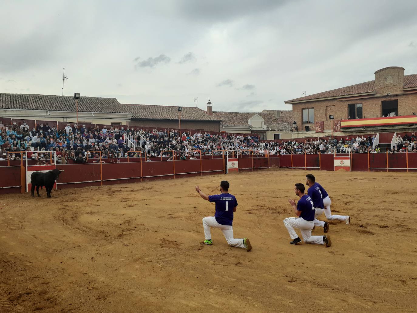 Fotos: Concurso de cortes Villa de Mayorga