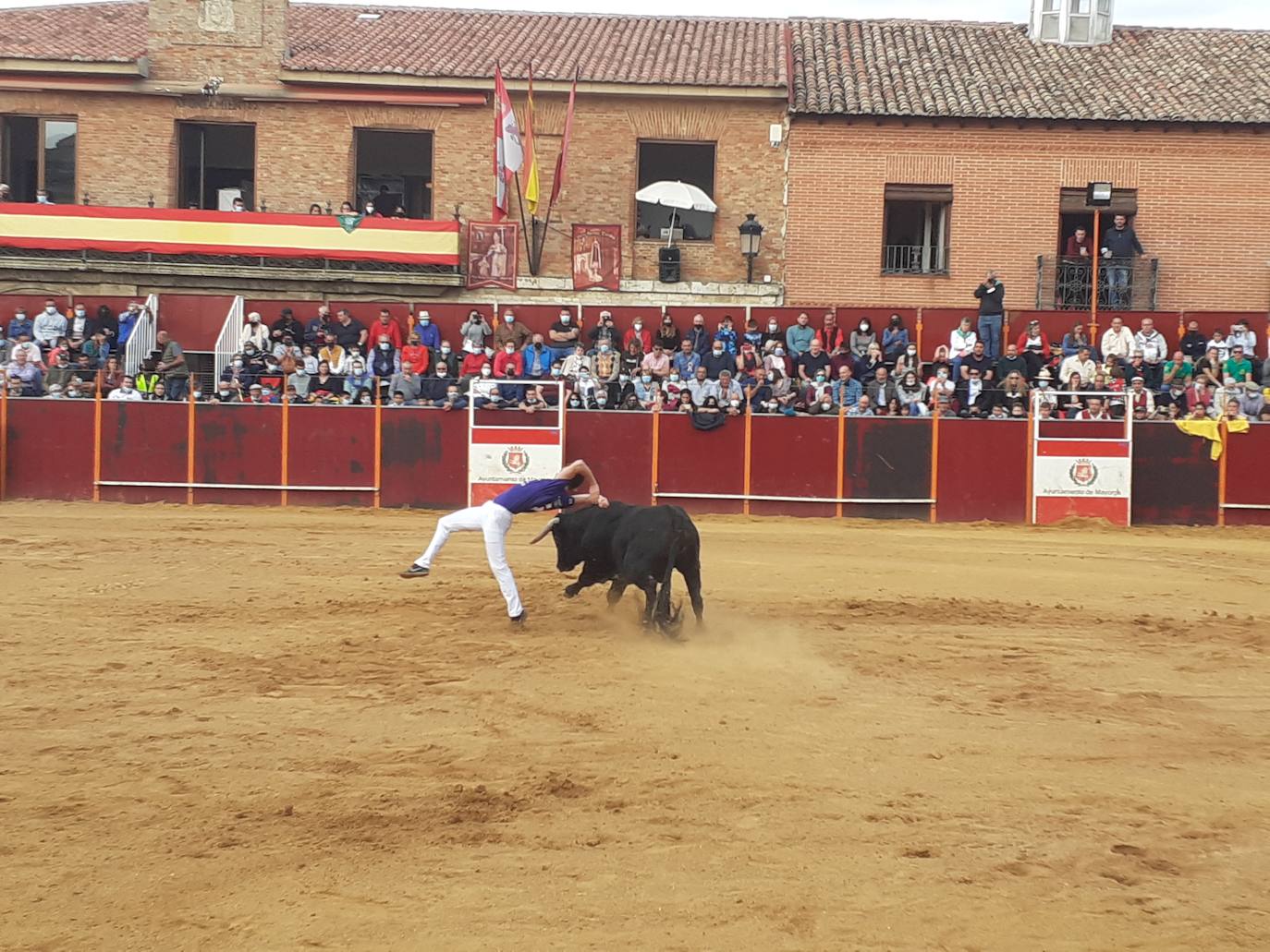 Fotos: Concurso de cortes Villa de Mayorga