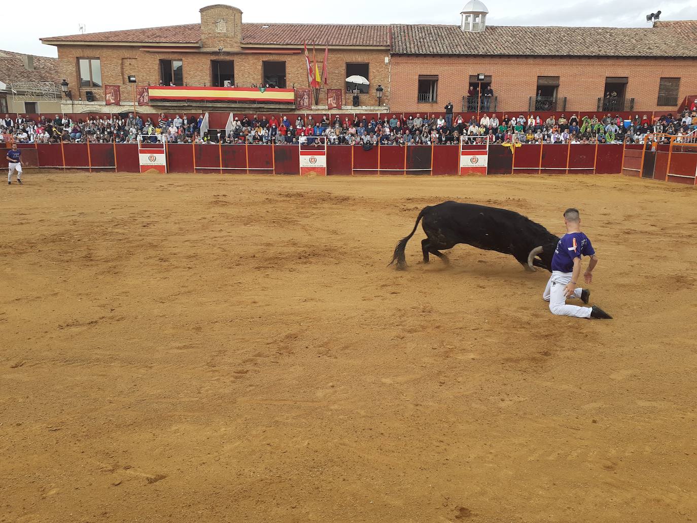 Fotos: Concurso de cortes Villa de Mayorga