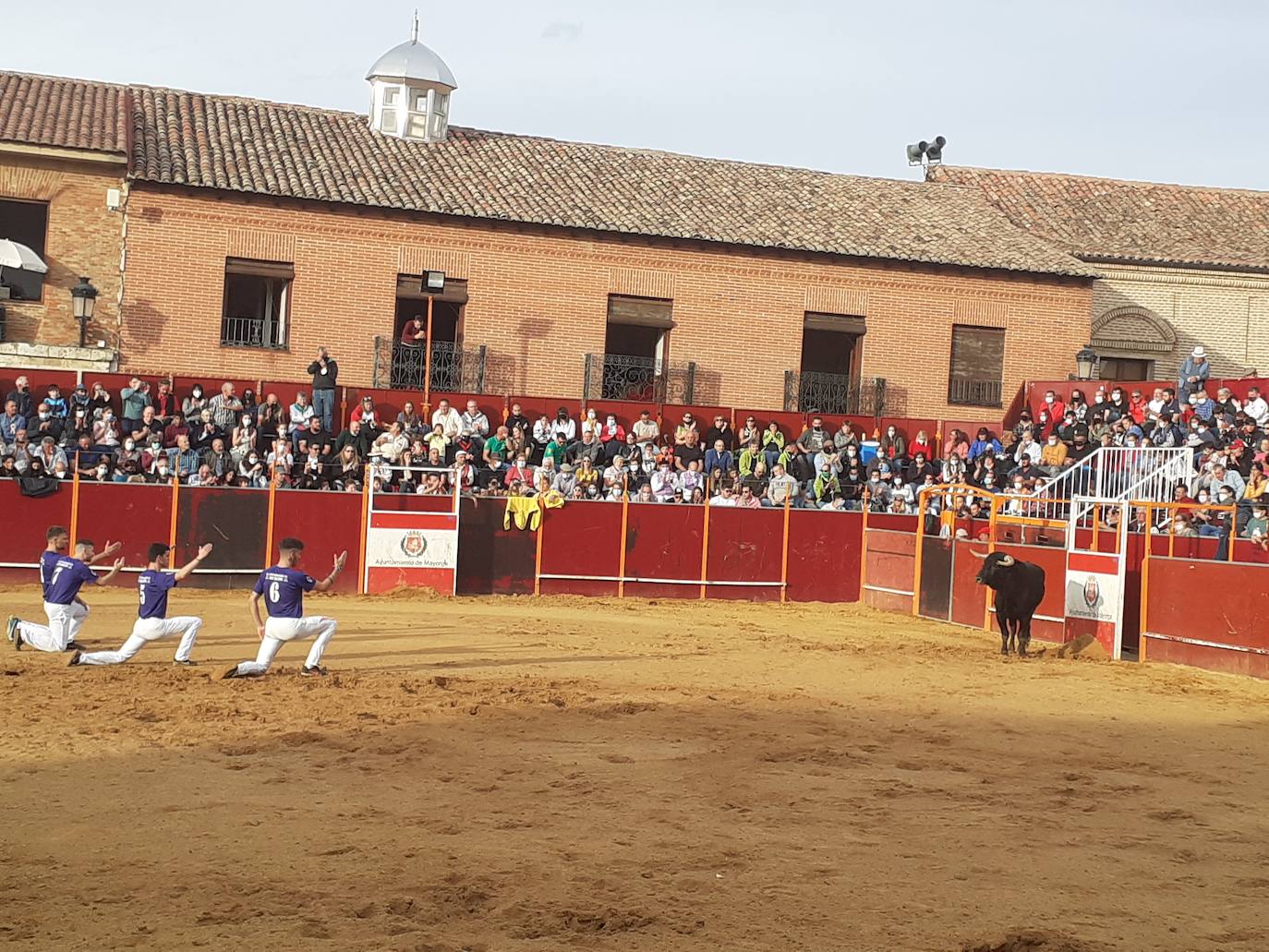 Fotos: Concurso de cortes Villa de Mayorga