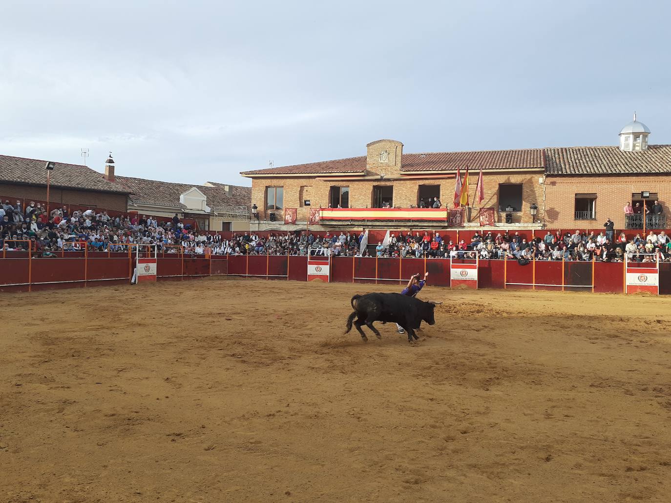 Fotos: Concurso de cortes Villa de Mayorga