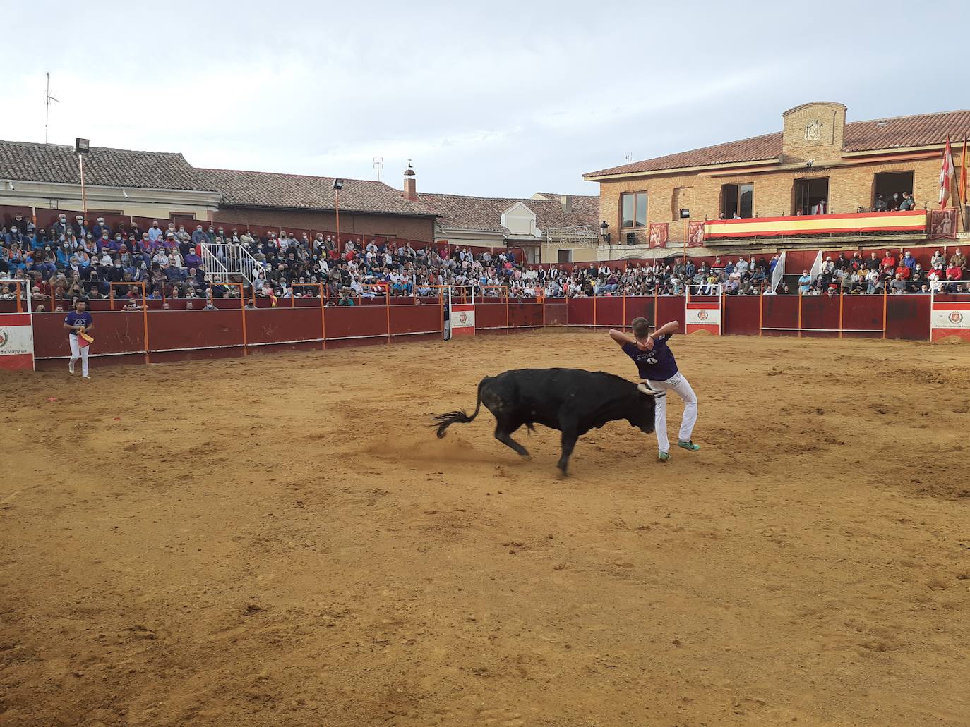 Fotos: Concurso de cortes Villa de Mayorga