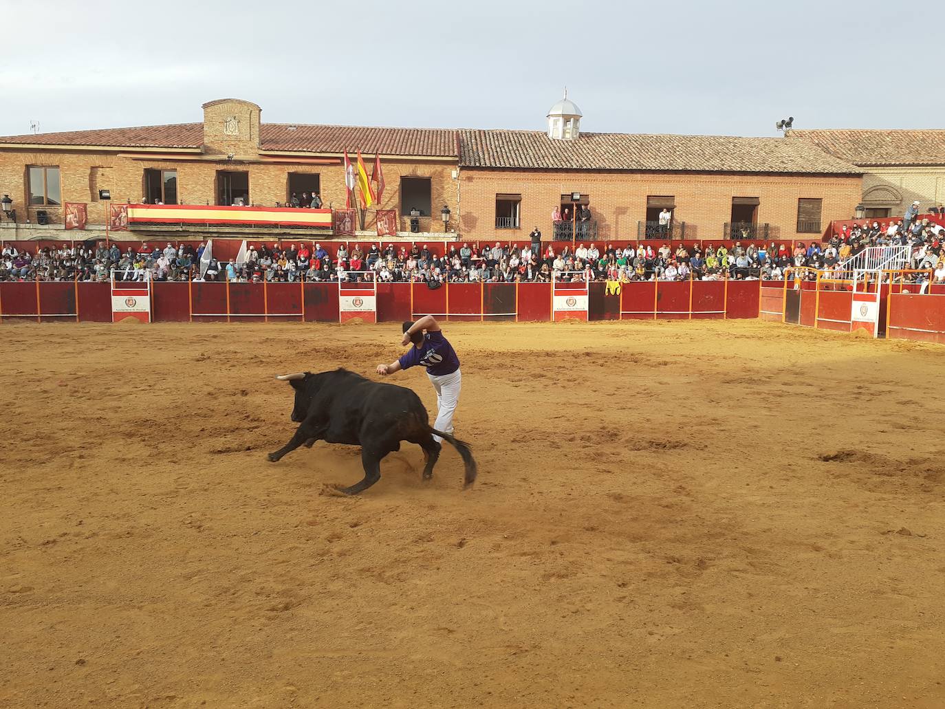 Fotos: Concurso de cortes Villa de Mayorga