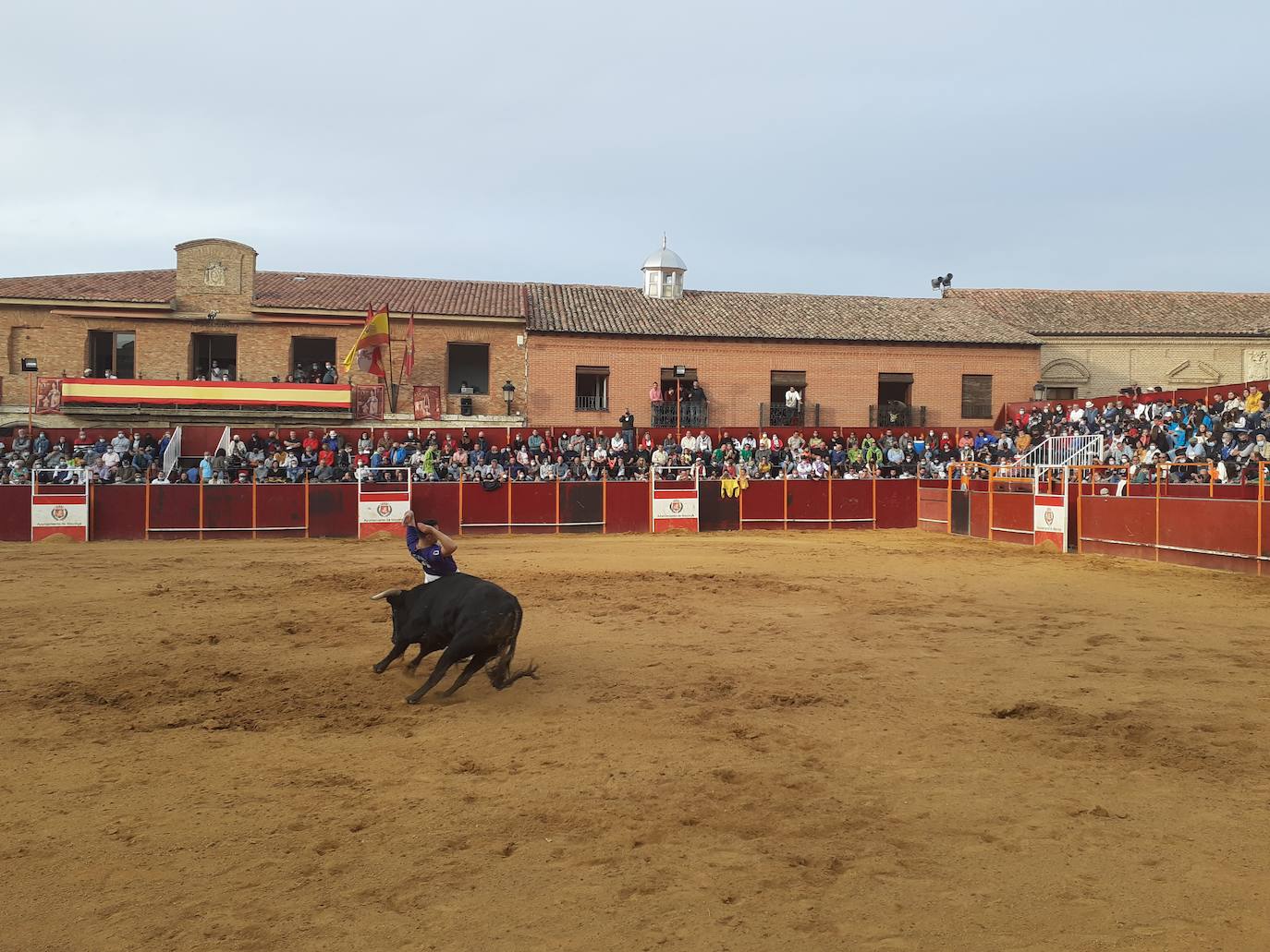 Fotos: Concurso de cortes Villa de Mayorga