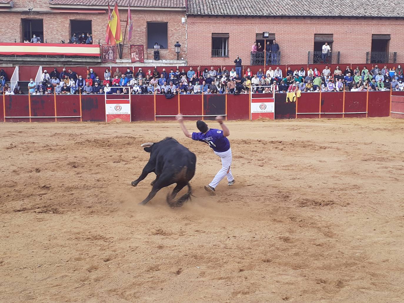 Fotos: Concurso de cortes Villa de Mayorga