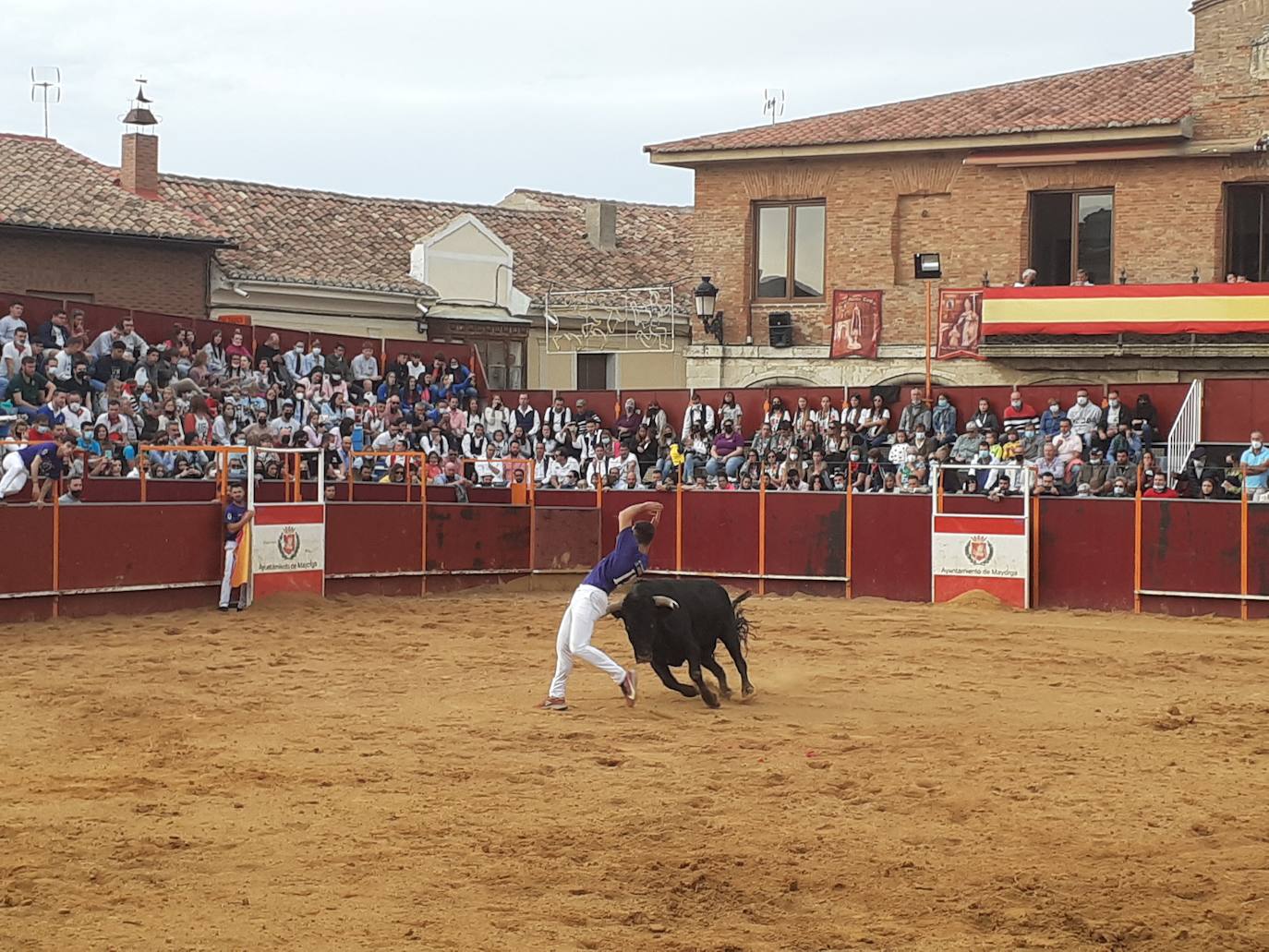 Fotos: Concurso de cortes Villa de Mayorga