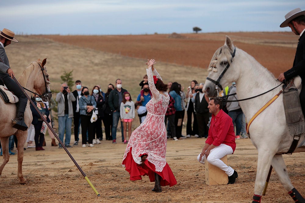 Flamenco entre caballos para ambientar la V Feria Agroalimentaria de Galinduste