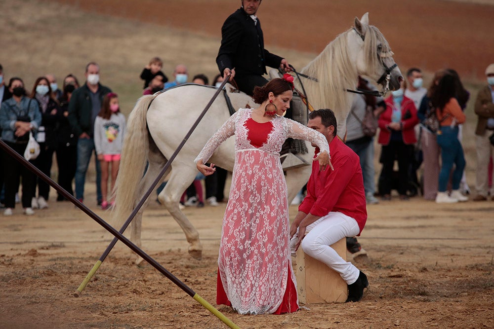 Flamenco entre caballos para ambientar la V Feria Agroalimentaria de Galinduste