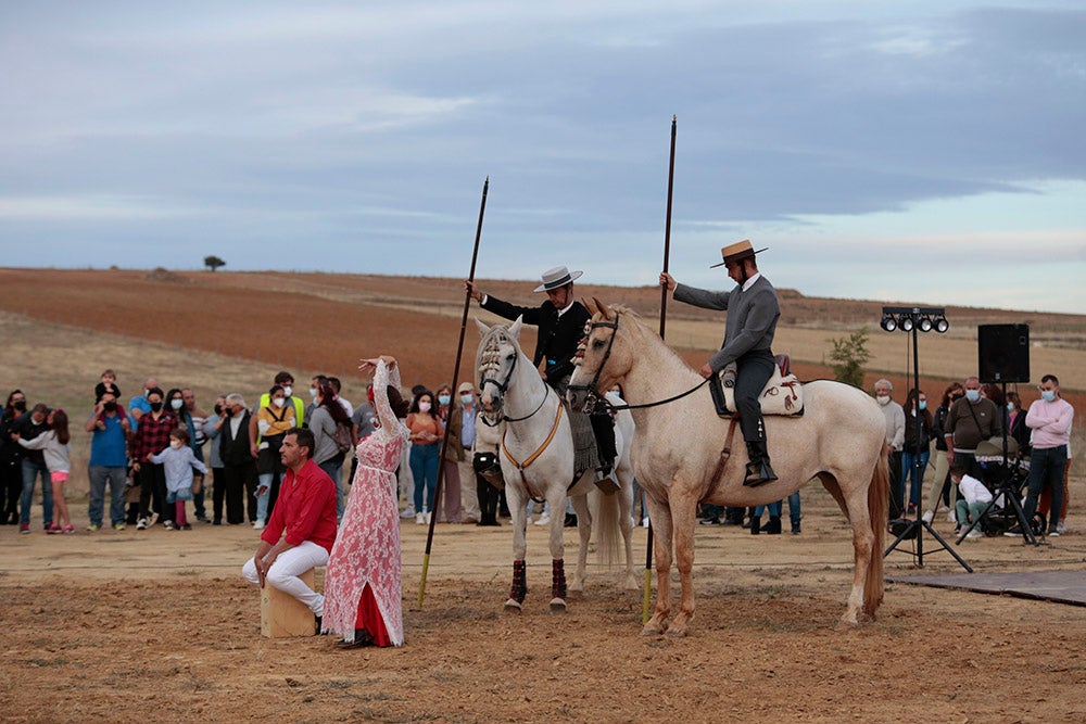 Flamenco entre caballos para ambientar la V Feria Agroalimentaria de Galinduste