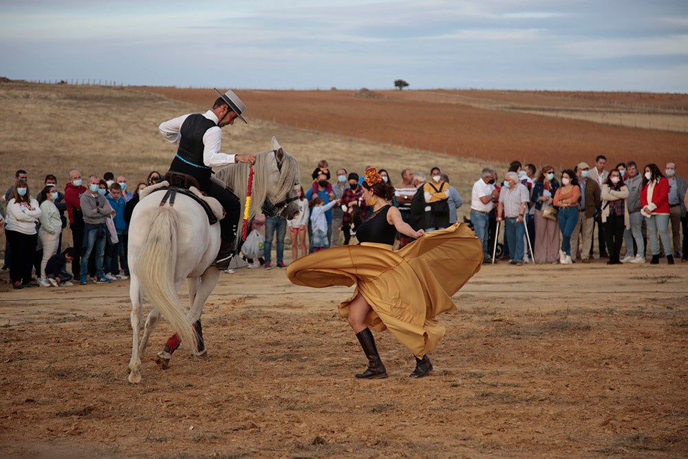 Flamenco entre caballos para ambientar la V Feria Agroalimentaria de Galinduste