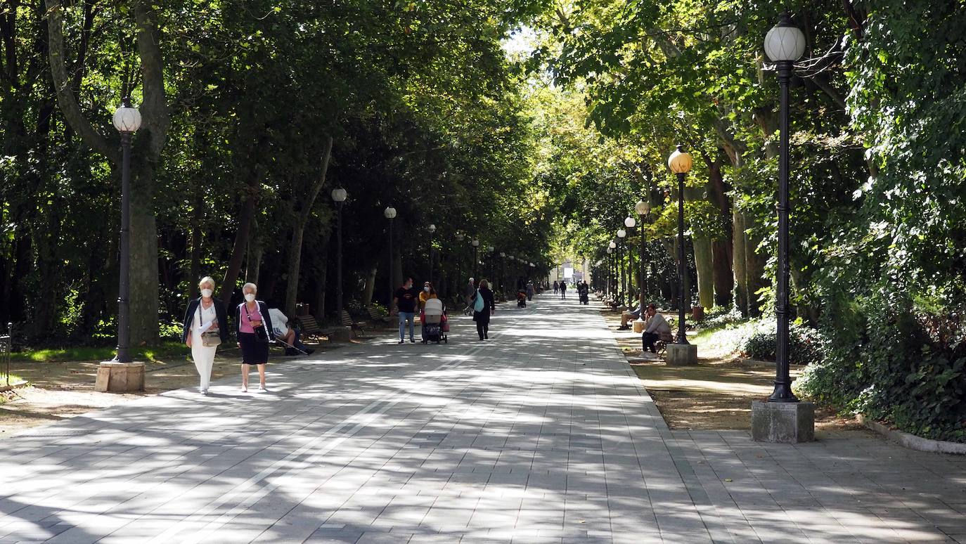 Detalles de una de las zonas del Campo Grande de Valladolid