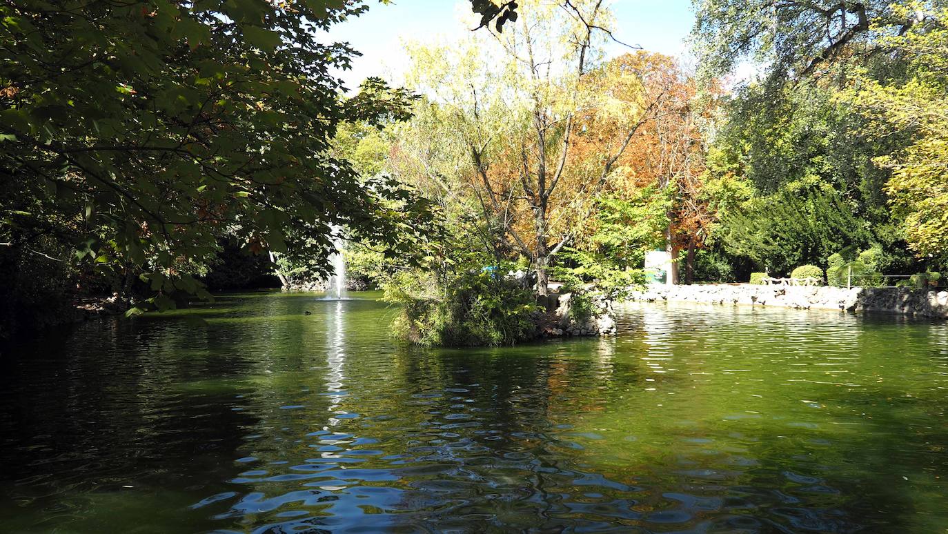 Detalles de una de las zonas del Campo Grande de Valladolid