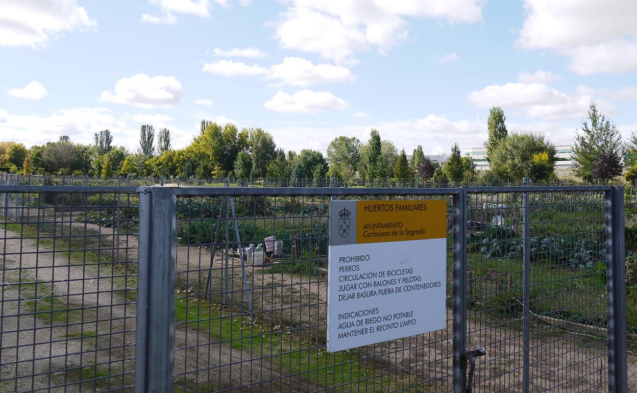 Imagen de la puerta que da acceso a los huertos familiares de Carbajosa. 