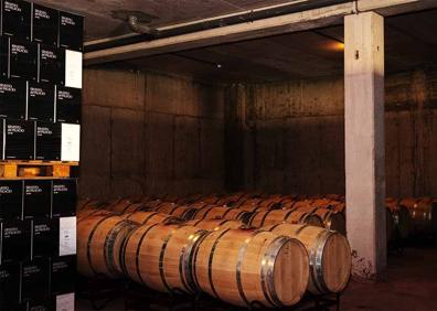 Imagen secundaria 1 - Colegiata de Toro y Bodega Ernesto del Palacio, situada en San román de Hornija. 