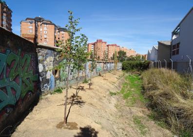 Imagen secundaria 1 - Acceso al cauce del arroyo Espanta desde la rotonda y el final del mismo (debajo) al borde de las vías. A la derecha, uno de los alcorques en construcción de la avenida de El Norte de Castilla. 