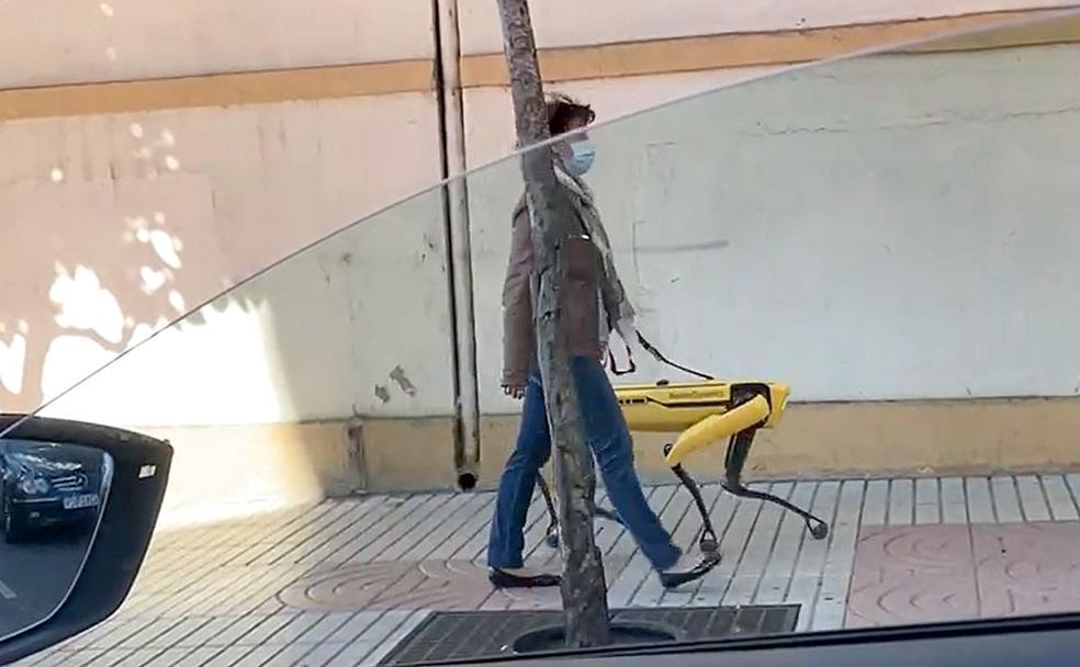 Una mujer pasea a Spot por el centro de León.