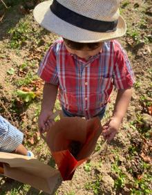 Imagen secundaria 2 - La rebusca de uvas regresa a La Seca