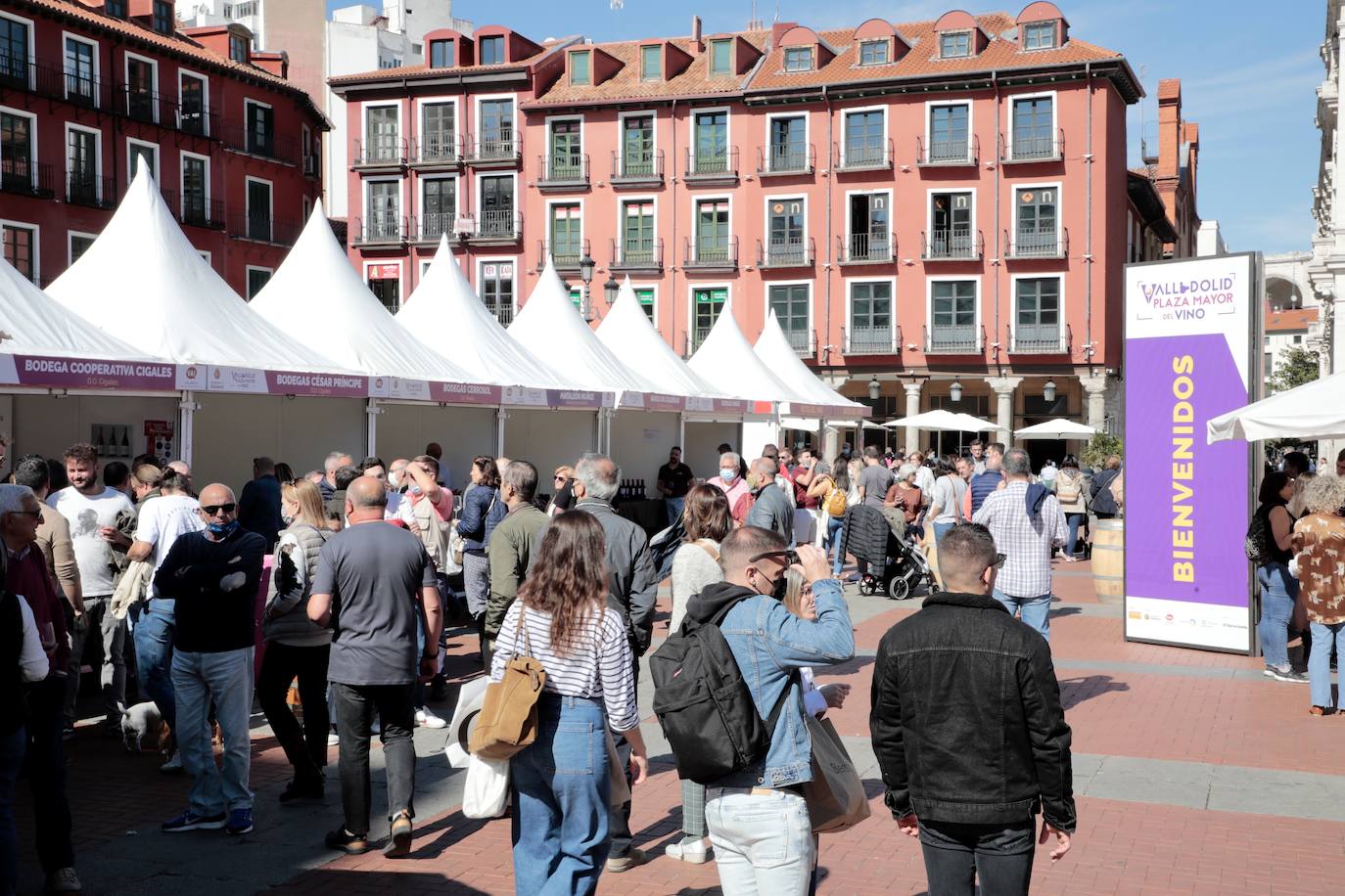 Fotos: Visita a la DO Rueda y ambiente del lunes en &#039;Valladolid. Plaza Mayor del Vino&#039;