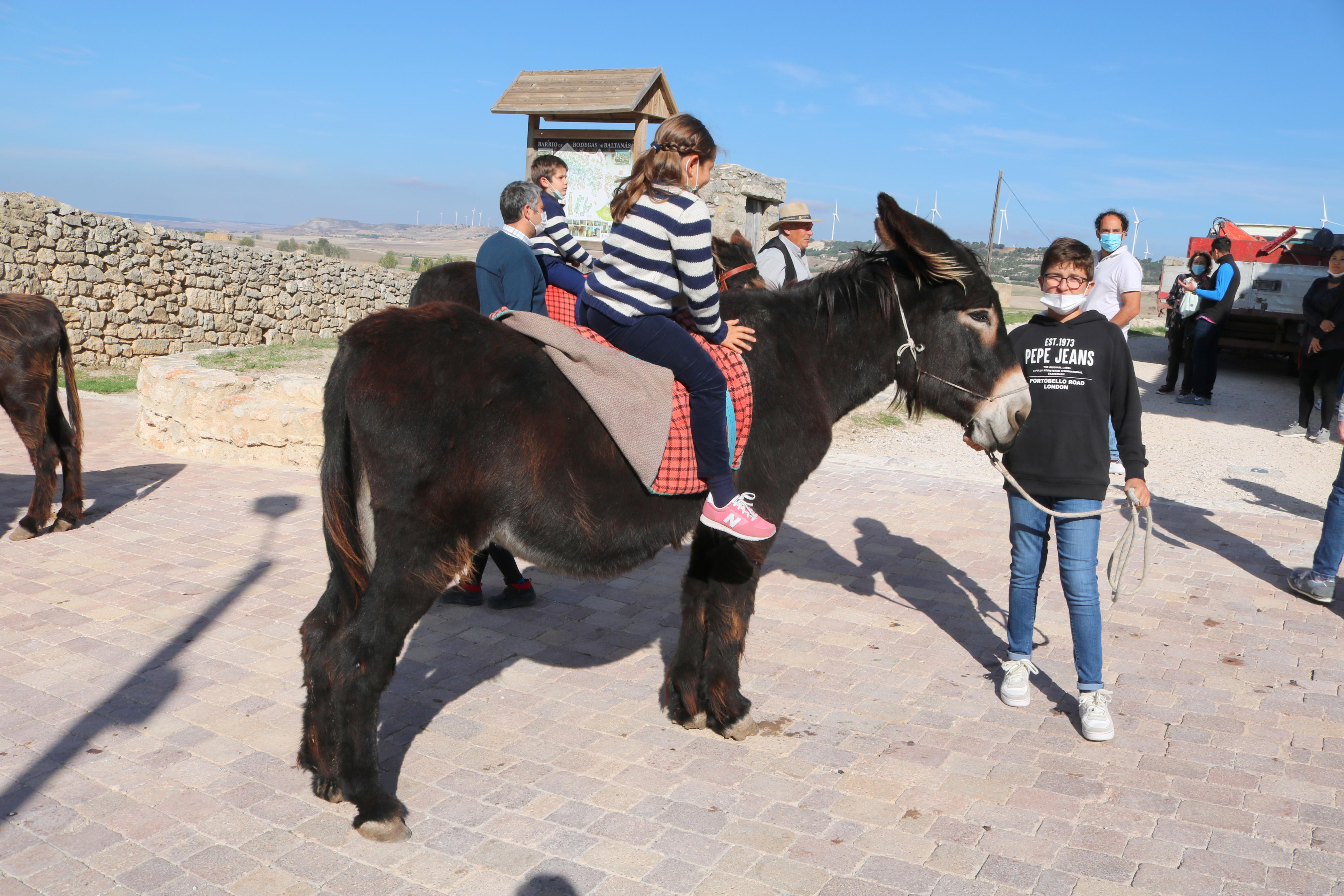 Vecinos y visitantes se volcaron con la jornada 'De Lagares' celebrada en Baltanás