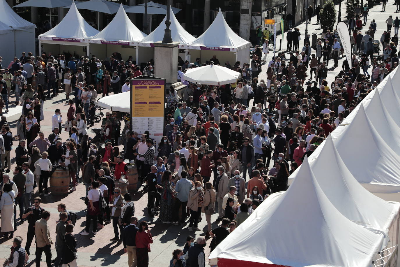Última jornada de 'Valladolid. Plaza Mayor del Vino'.