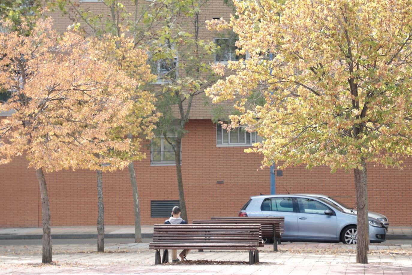 Fotos: Así es el nuevo parque Don Bosco de Valladolid