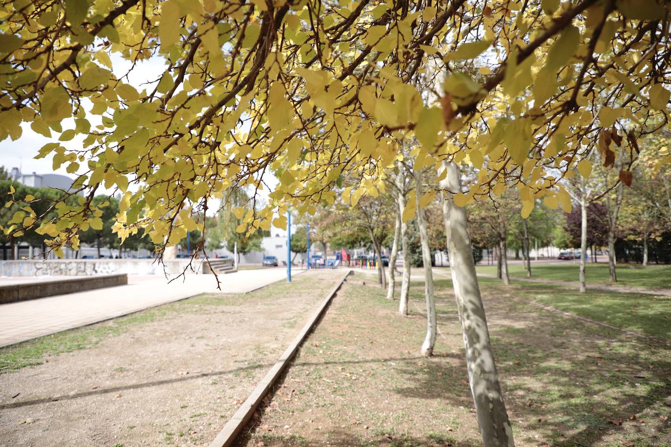 Fotos: Así es el nuevo parque Don Bosco de Valladolid