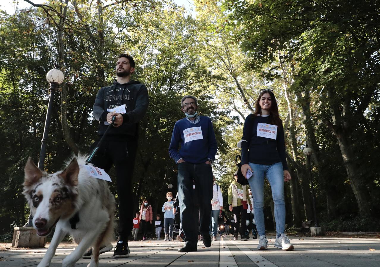 Fotos: VIII Día de la Familia en Marcha CaixaBank en Valladolid (1/2)