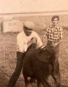 Imagen secundaria 2 - A la izquierda, de joven, a caballo en la plaza de madera Mayorga. A la derecha, Peralta sujeta a una vaquilla durante una capea de quintos. 