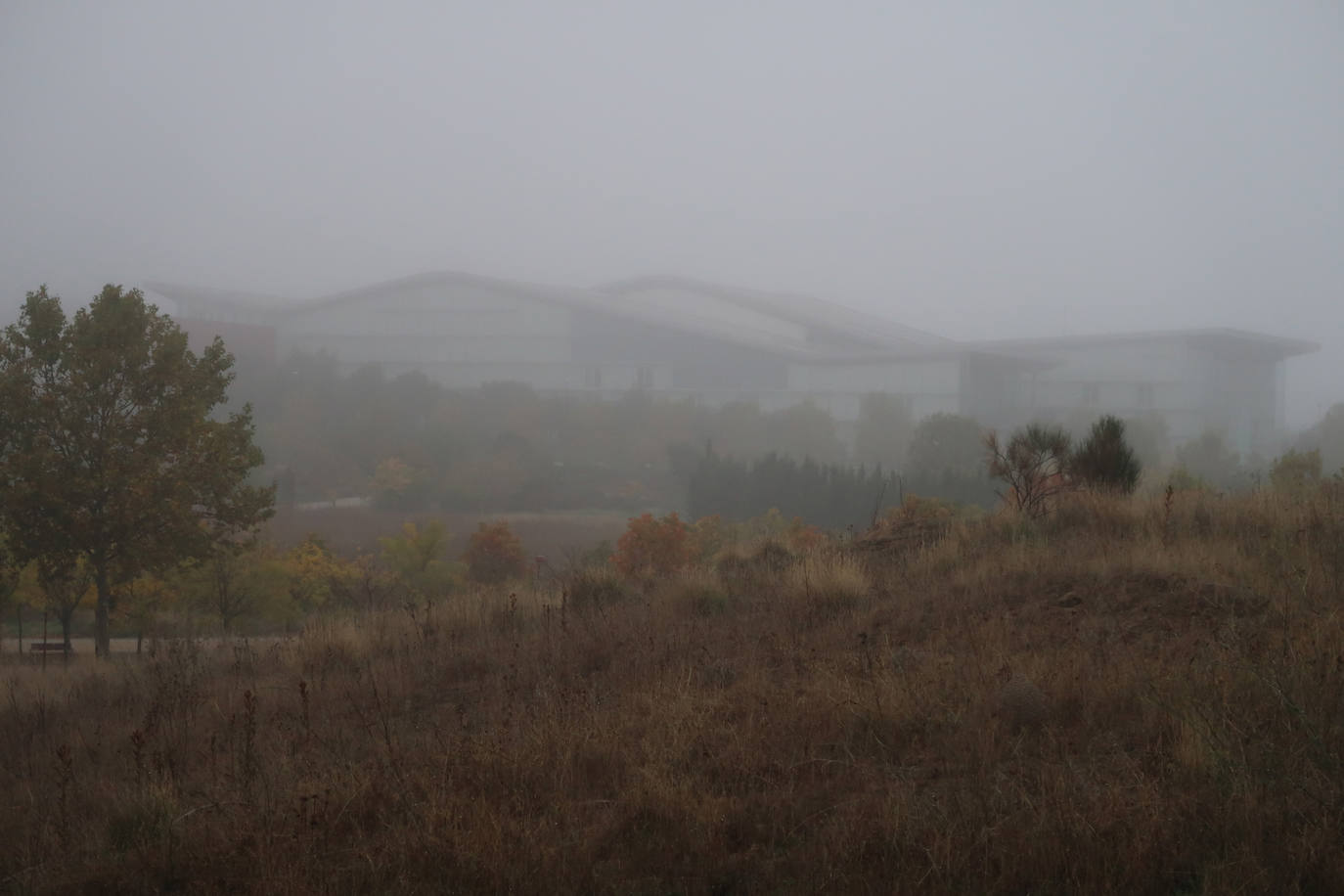 Fotos: riPrimer día de niebla en V