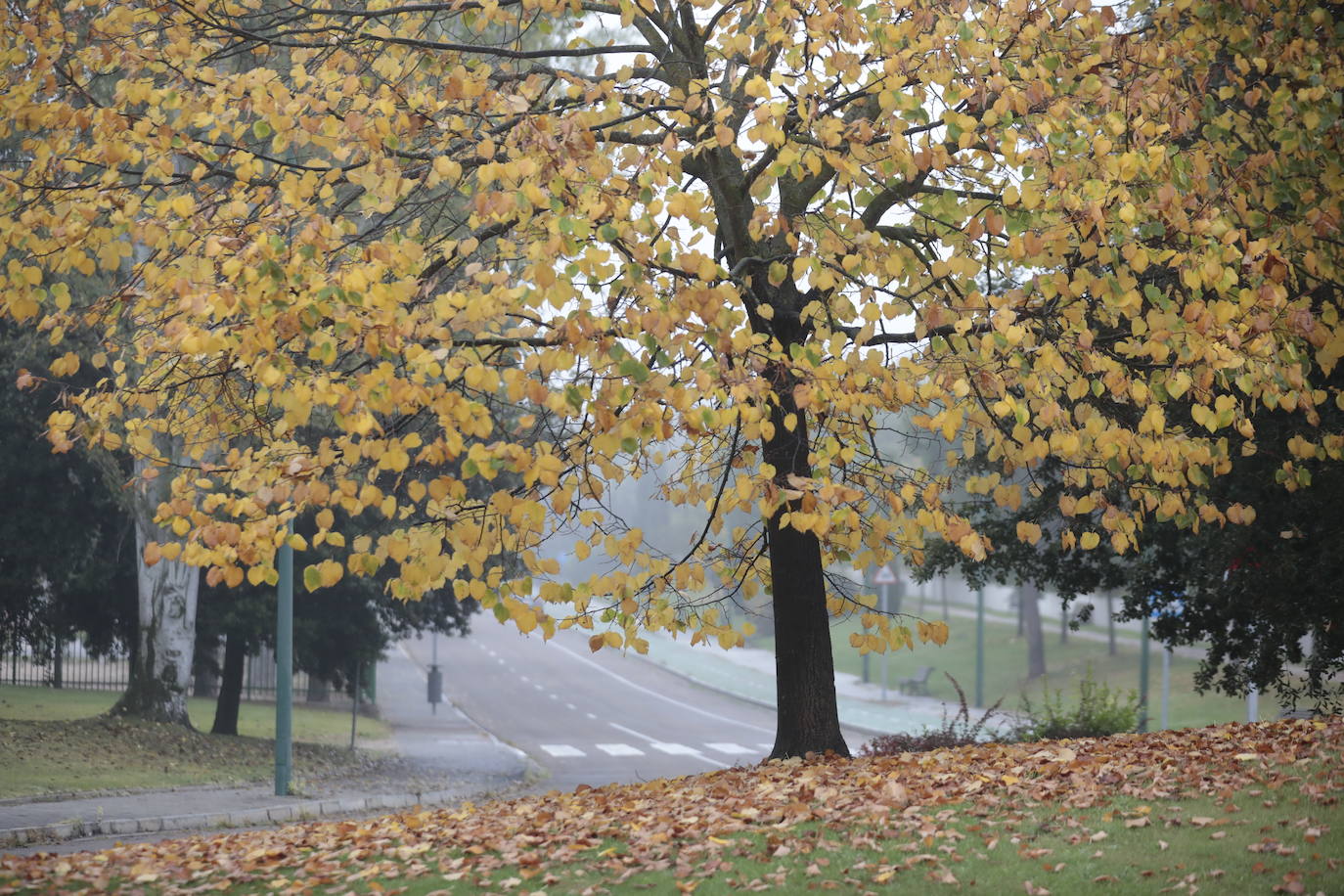 Fotos: riPrimer día de niebla en V