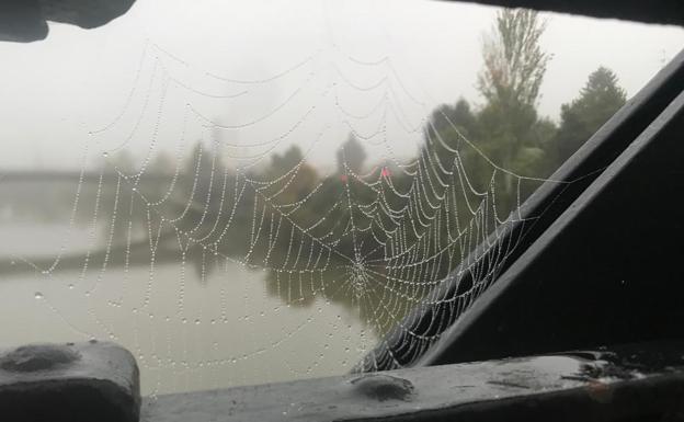 Niebla en Valladolid. 