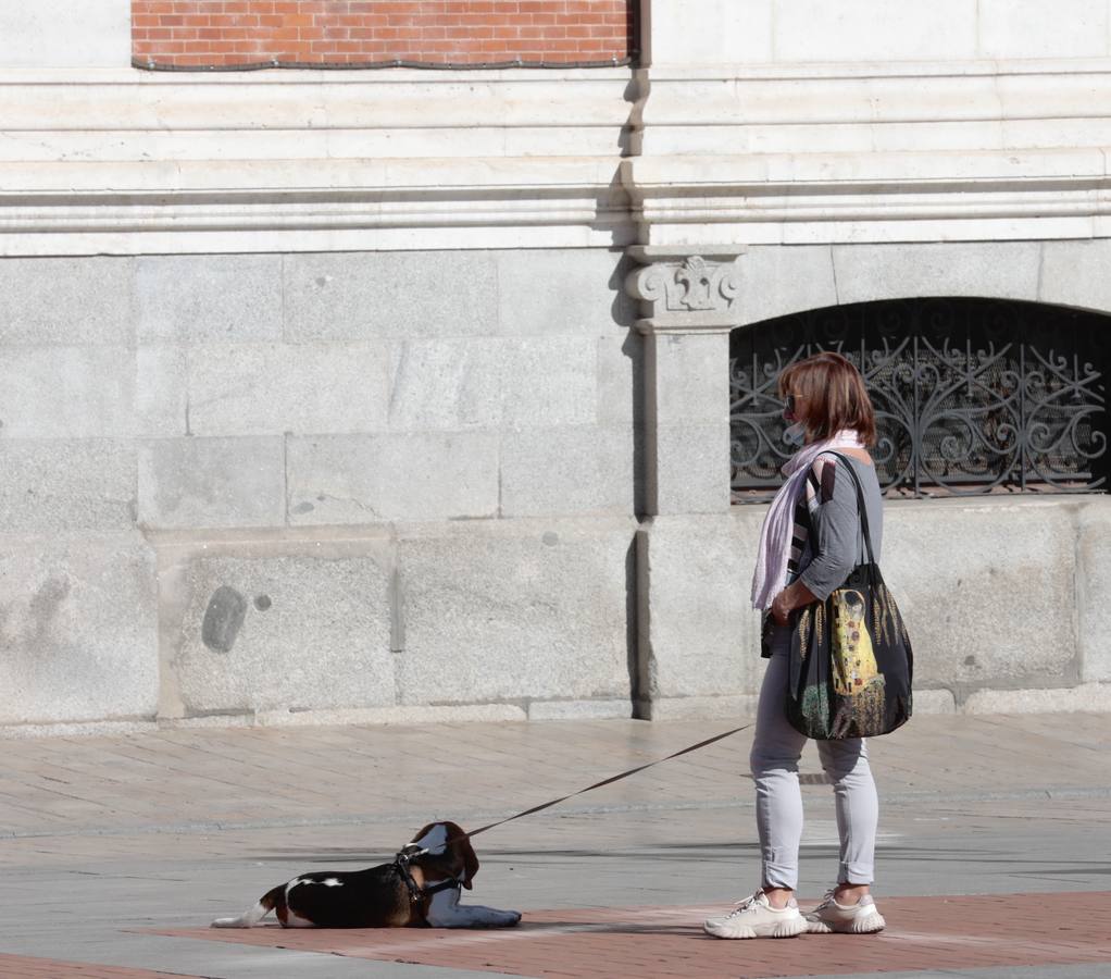Fotos: Continúan las altas temperaturas en Valladolid