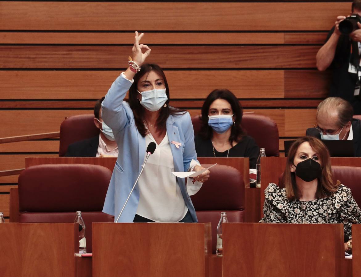 Fotos: Pleno en las Cortes de Castilla y León