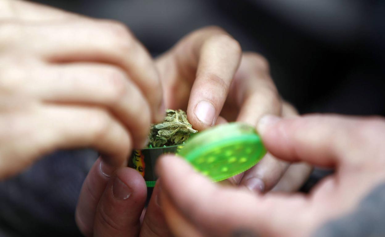 Jóvenes preparan un cigarro de marihuana.