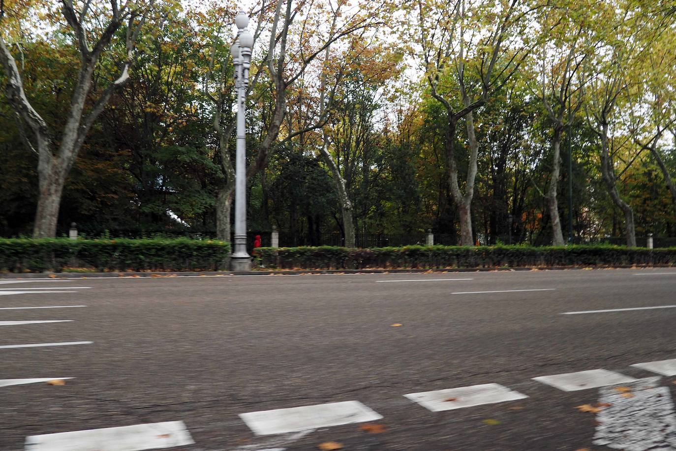 Detalles de una de las principales arterias de la ciudad 