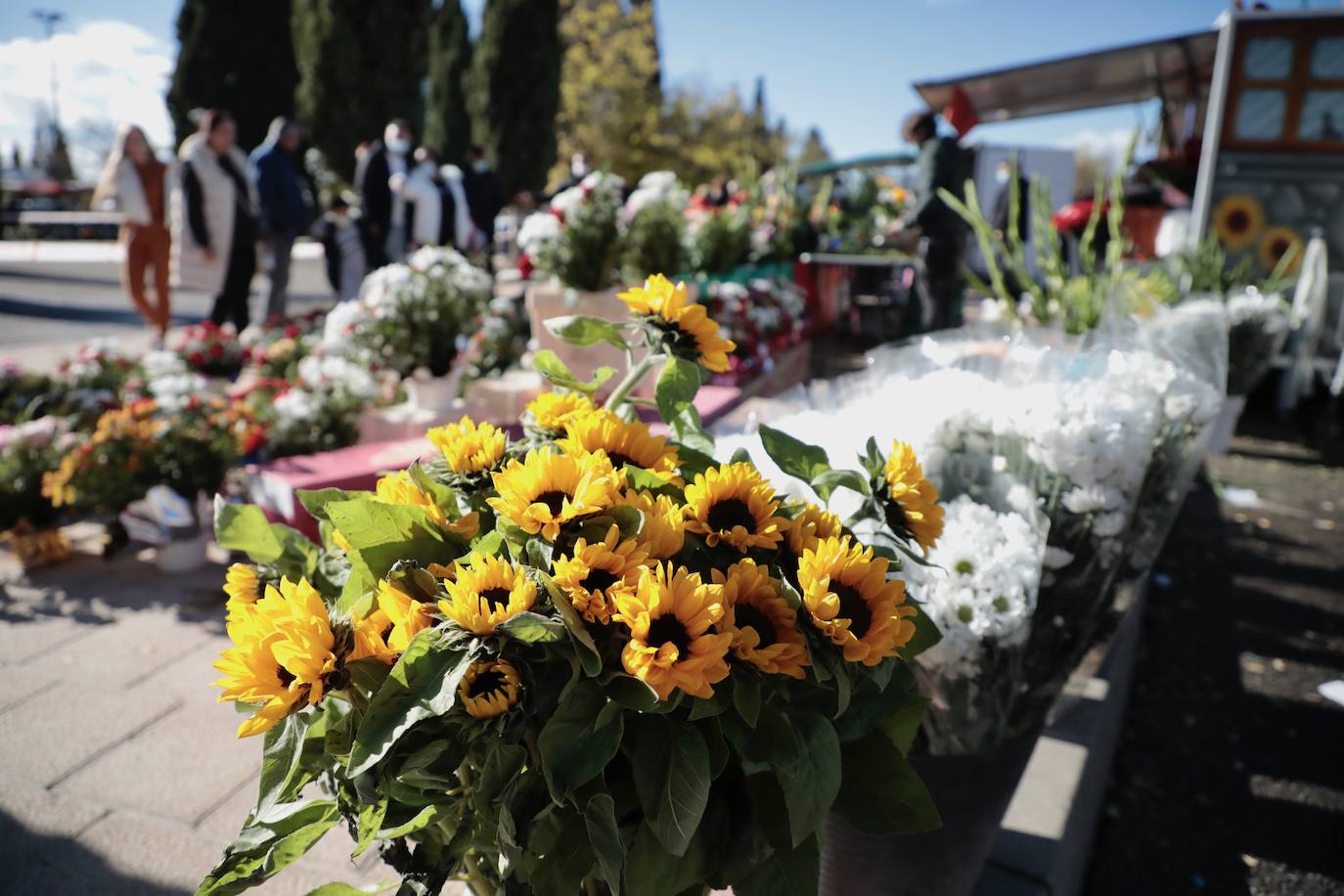 Día de Todos los Santos en el Cementerio del Carmen de Valladolid.