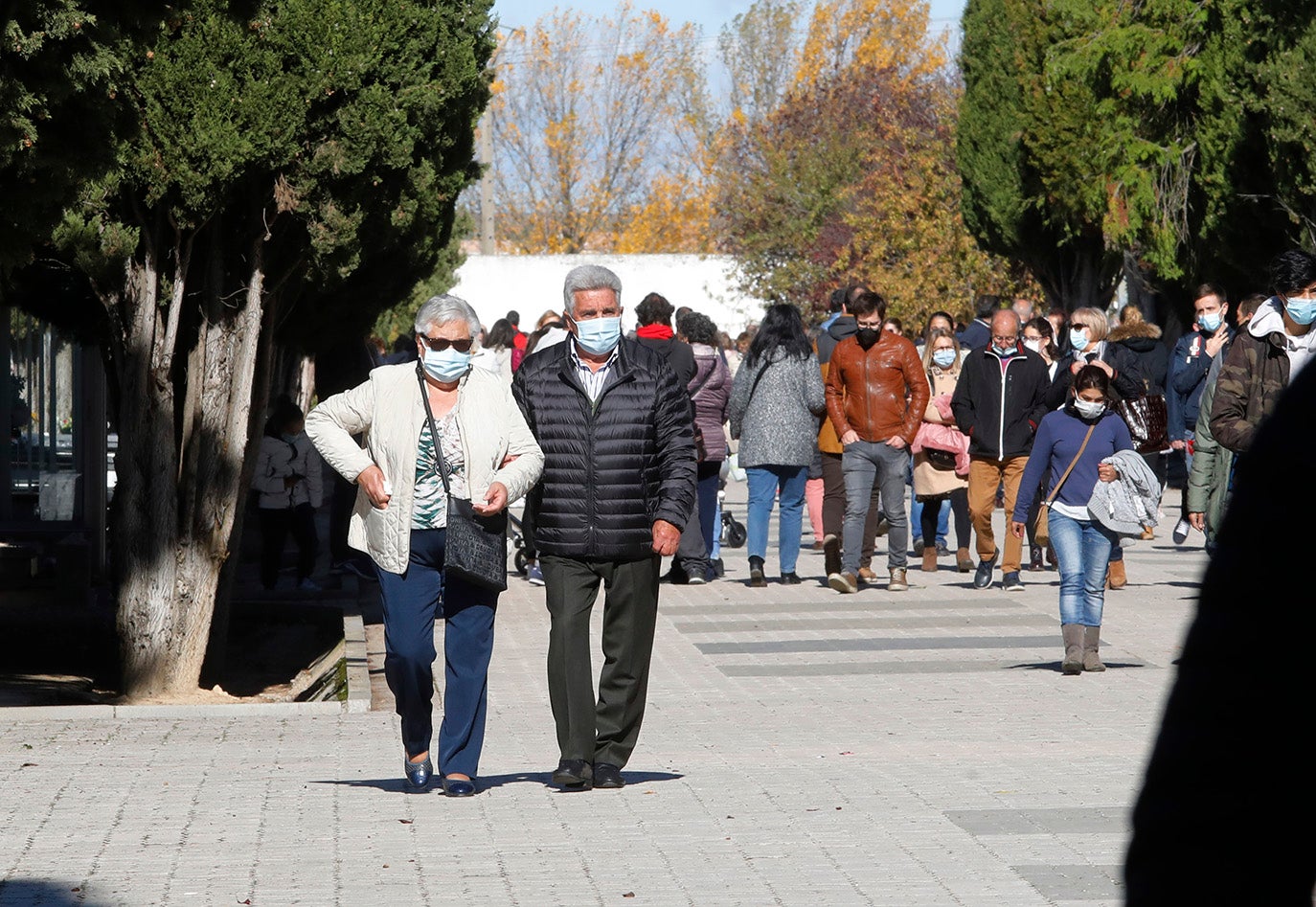 Día de Todos los Santos en Palencia