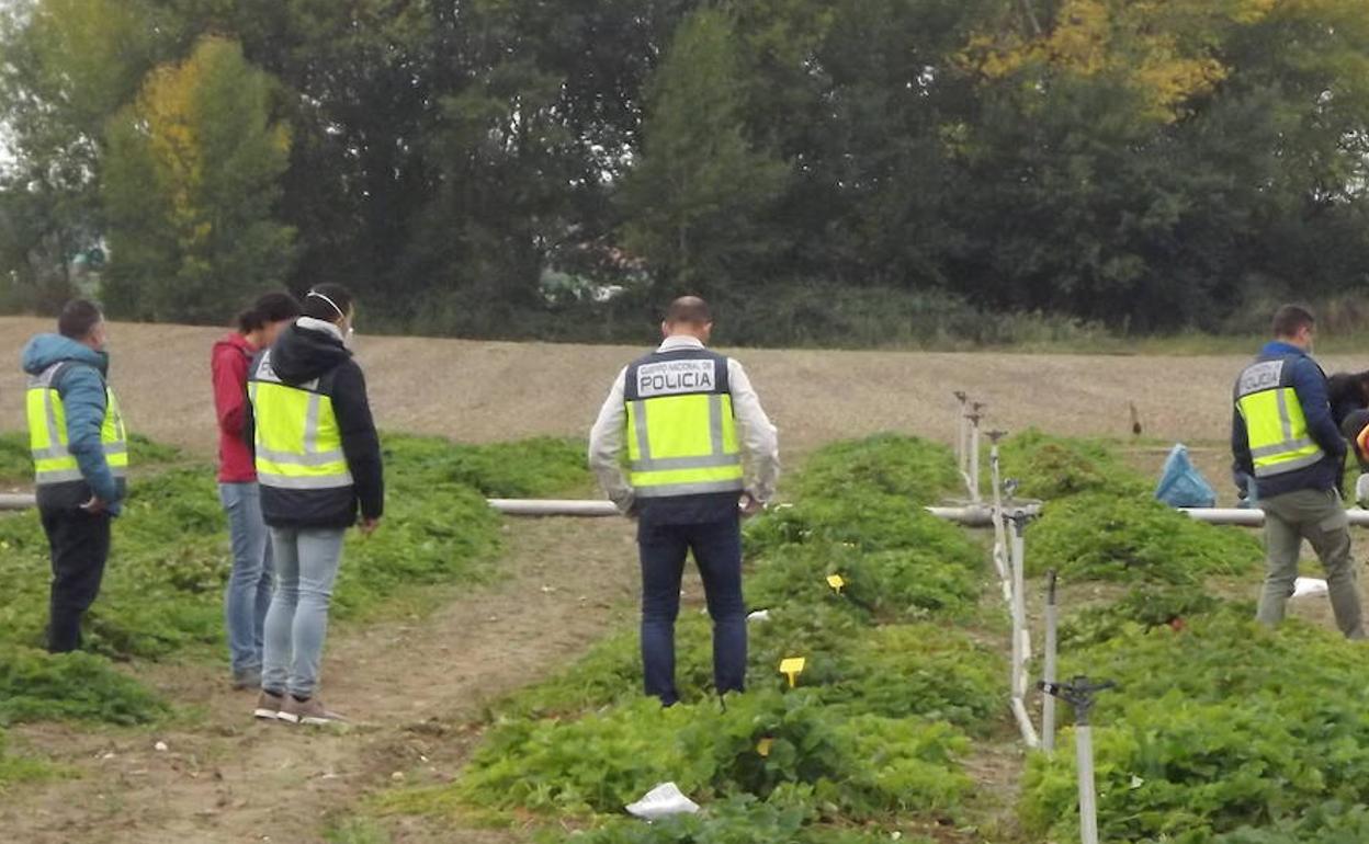 Inspección en una explotación agrícola en la provincia de Valladolid. 